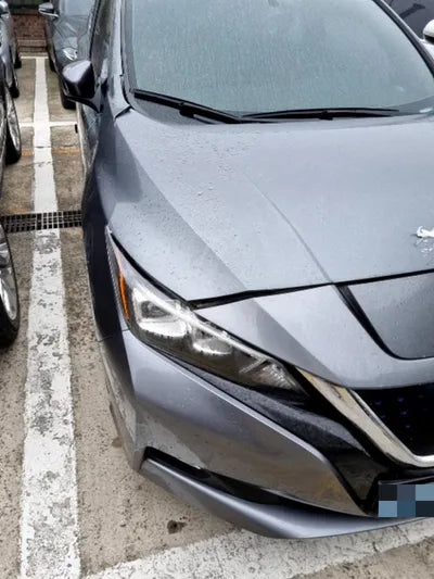 2019 Nissan Leaf 1N4AZ1CP7KC306645 VIN:1N4AZ1CP7KC306645