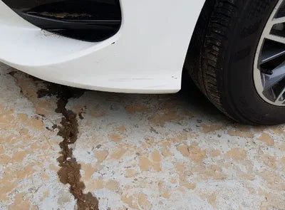 2021 Kia K5 KNAG741BBMA139026 VIN:KNAG741BBMA139026