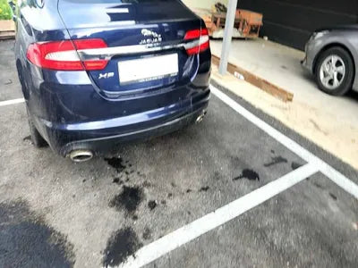 2015 Jaguar XF 155KMSAJAA06S0FPU VIN:155KMSAJAA06S0FPU