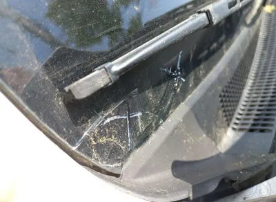 2017 Hyundai Ioniq KMHC751CGHU006889 VIN:KMHC751CGHU006889