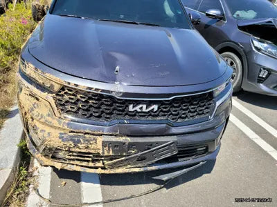 2023 Kia Sorento KNARL81GBPA144089 VIN:KNARL81GBPA144089