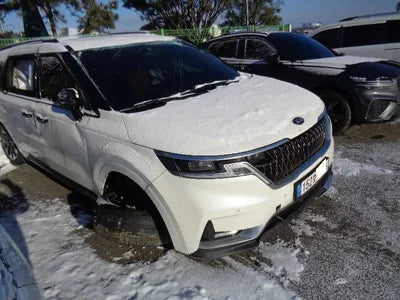 2020 Kia Carnival KNANE81BBMS010172 VIN:KNANE81BBMS010172