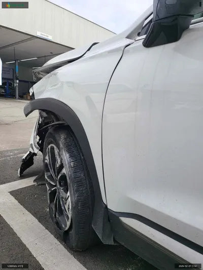 2019 Hyundai Santa FE KMHS381ABKU141821 VIN:KMHS381ABKU141821