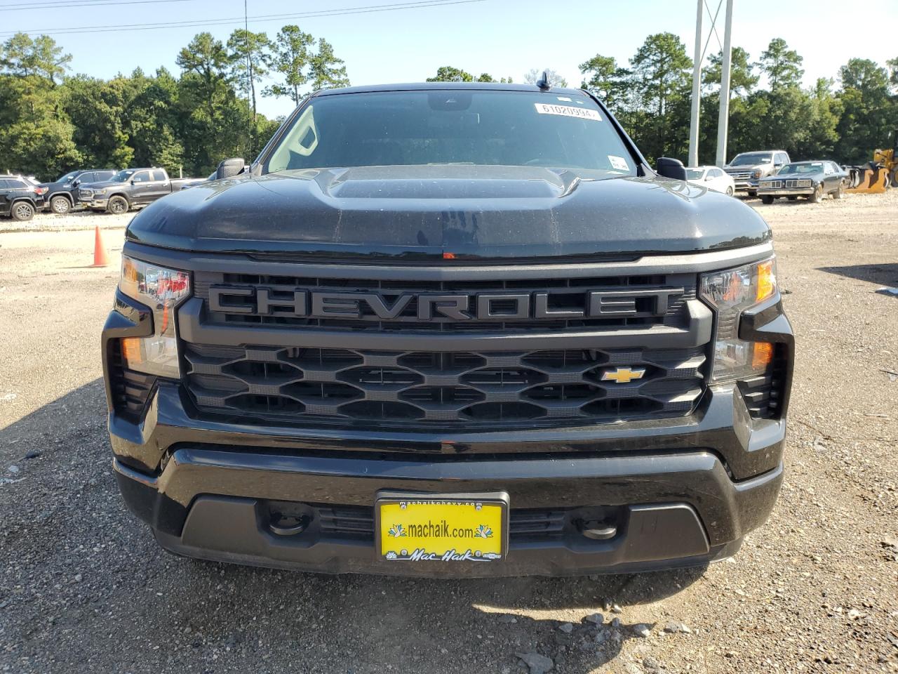 2024 CHEVROLET SILVERADO C1500 CUSTOM VIN:1GCPABEK0RZ166528