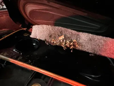 2017 bmw gran turismo efficientdyna VIN: