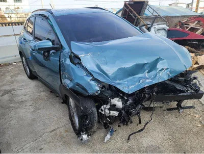 2018 Hyundai Kona KMHK4815GJU216703 VIN:KMHK4815GJU216703