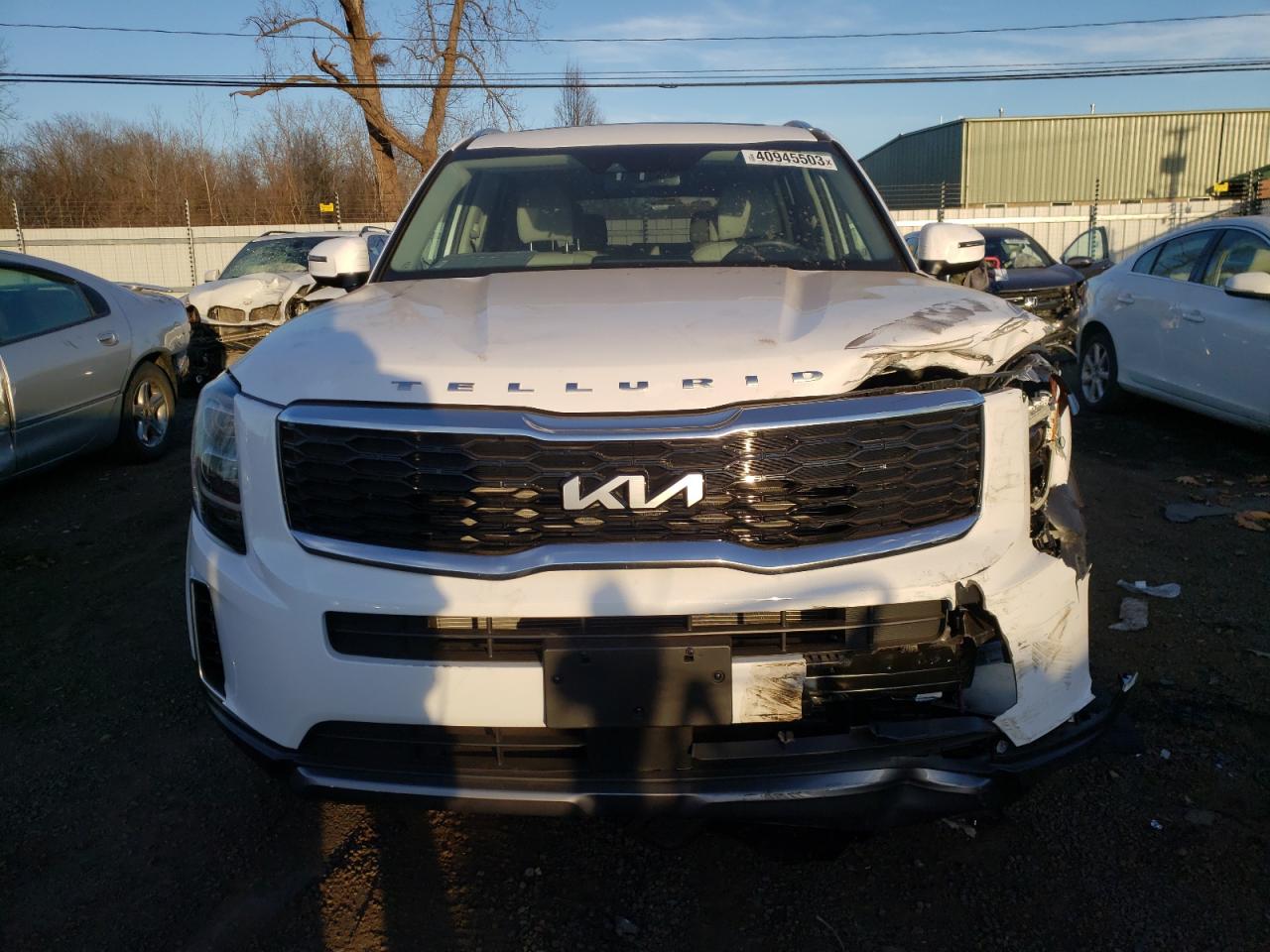 2022 KIA TELLURIDE EX VIN:5XYP3DHC9NG305266
