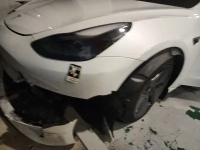2022 Tesla Model 3 5YJ3E1EA5NF303287 VIN:5YJ3E1EA5NF303287
