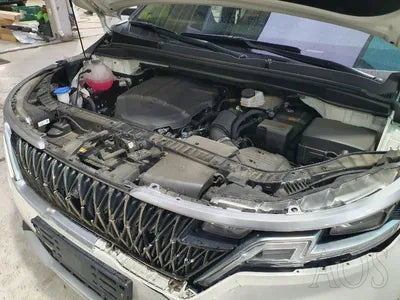 2020 Kia Carnival KNANB81BBMS024261 VIN:KNANB81BBMS024261