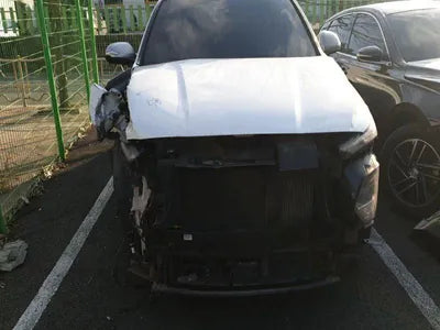 2019 Hyundai Santa FE KMHS581CDKU124309 VIN:KMHS581CDKU124309