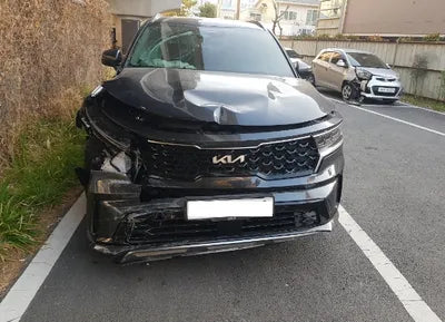 2023 Kia Sorento KNARH81FGPA182937 VIN:KNARH81FGPA182937