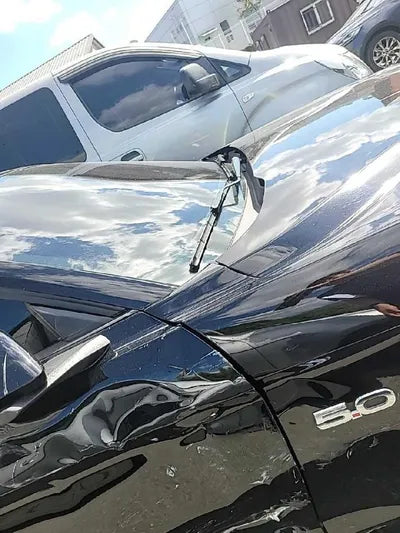 2019 Ford Mustang GT VIN: