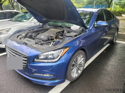 2015 acupuncture nessis 3.3 VIN: