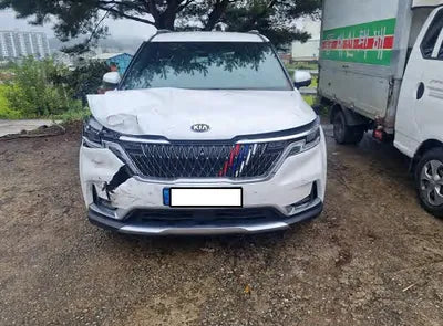 2021 Kia Carnival KNANE81BBMS073819 VIN:KNANE81BBMS073819