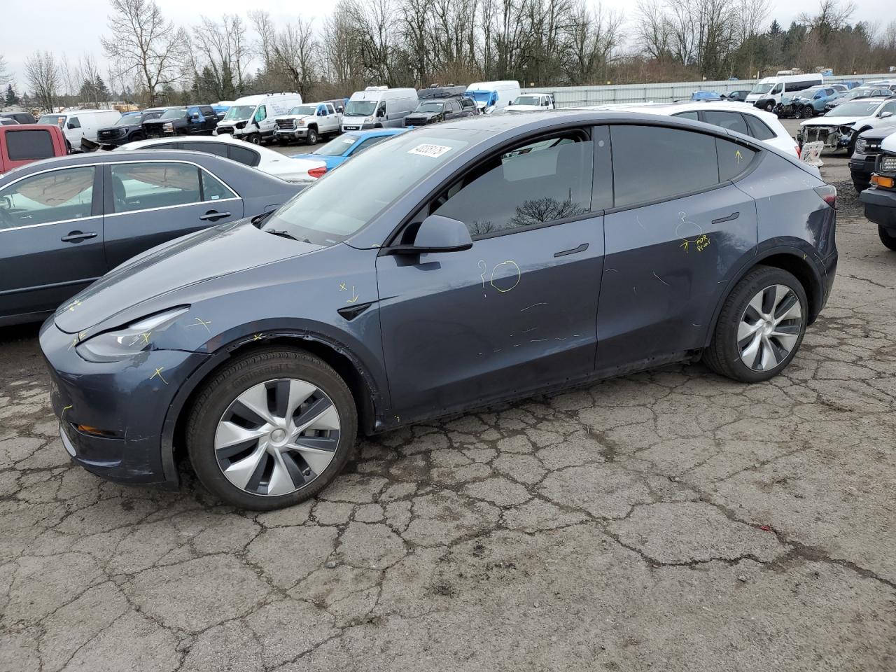 2023 TESLA MODEL Y  VIN:7SAYGDEE9PF619740