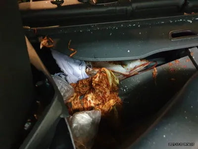 2021 Mercedes-Benz B 200 W1N4M1CB7MW113125 VIN:W1N4M1CB7MW113125