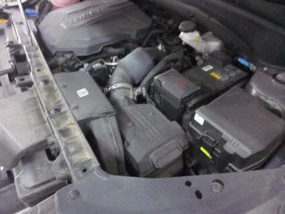 2020 Hyundai Santa FE KMHS381HGMU333983 VIN:KMHS381HGMU333983