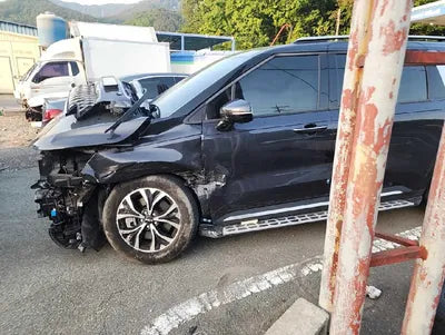 2023 Kia Carnival KNANE81BBPS218032 VIN:KNANE81BBPS218032