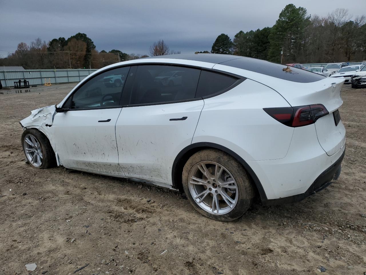 2023 TESLA MODEL Y  VIN:7SAYGDEE2PF784965