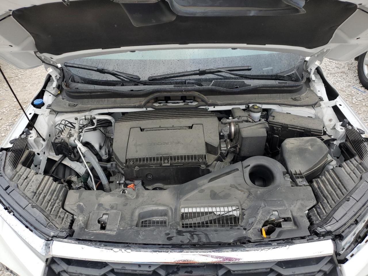 2023 HONDA PILOT EXL VIN:5FNYG2H55PB006348