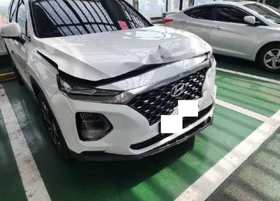 2019 Hyundai Santa FE KMHS381CDKU013123 VIN:KMHS381CDKU013123
