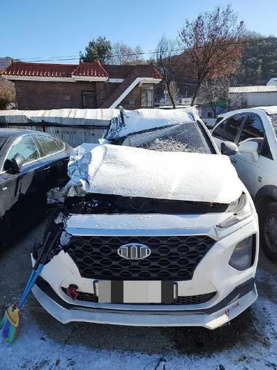 2019 Hyundai Santa FE VIN: