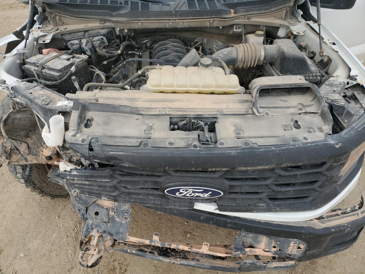 2024 FORD F150 XL VIN:1FTFW1L53RKD67420