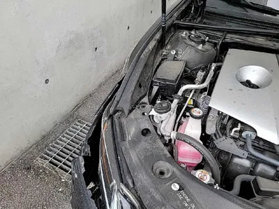 2020 Lexus ES 300 JTHBA1C18M2000918 VIN:JTHBA1C18M2000918