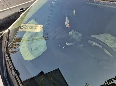 2015 Volkswagen CC WVWZZZ3CZFE821503 VIN:WVWZZZ3CZFE821503