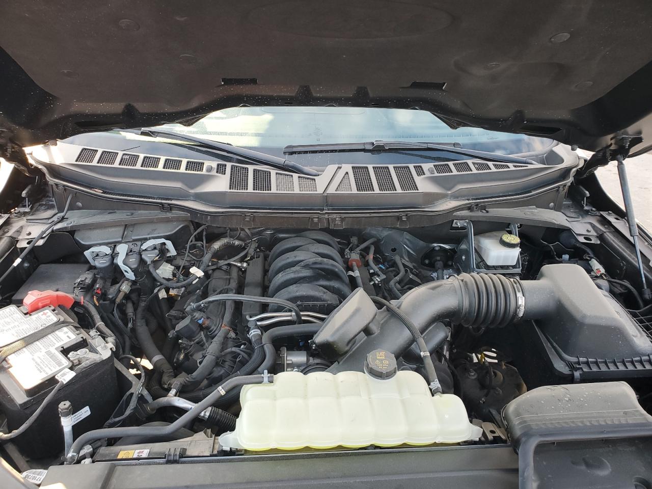 2023 FORD F150 SUPERCREW VIN:1FTFW1E54PFC20669