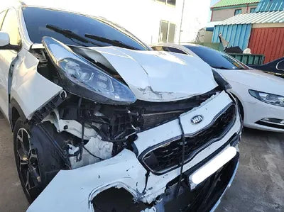 2019 Kia Sportage 2KNAPR813BKK54860 VIN:2KNAPR813BKK54860