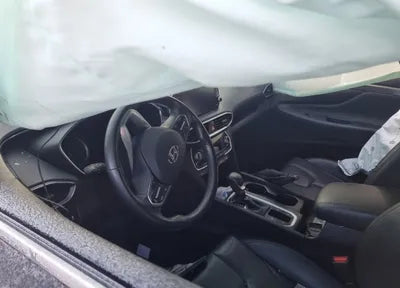 2019 Hyundai Santa FE KMHS281BBKU023902 VIN:KMHS281BBKU023902