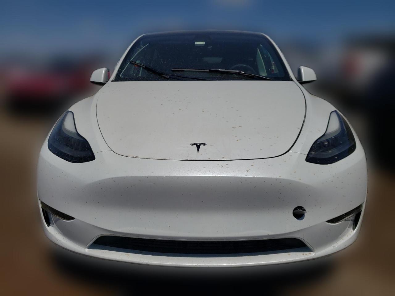 2023 TESLA MODEL Y  VIN:7SAYGDEE3PF662678