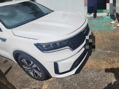 2023 Kia Sorento KNARH81GBPA214993 VIN:KNARH81GBPA214993