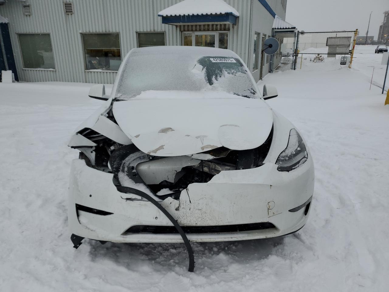 2022 TESLA MODEL Y  VIN:7SAYGDEE4NF433617
