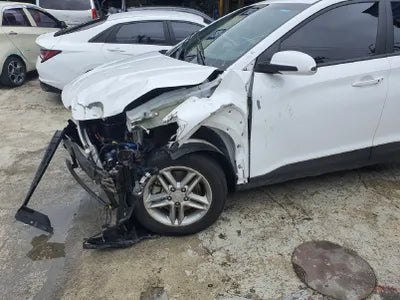 2021 Hyundai Kona KMHK2813GMU790932 VIN:KMHK2813GMU790932