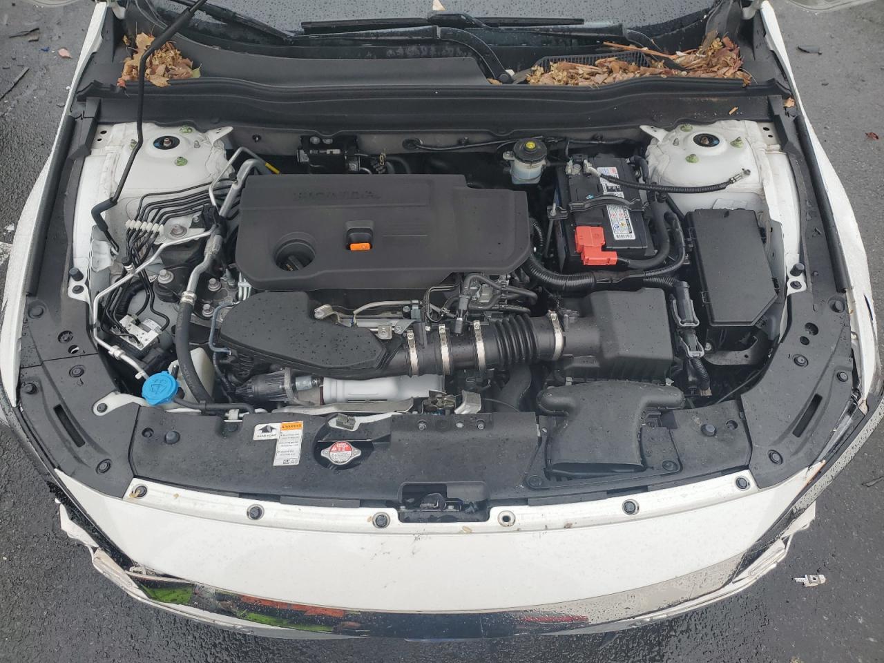 2022 HONDA ACCORD SPORT VIN:1HGCV2F31NA007697