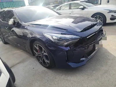 2019 Kia Stinger KNAE751CBKS060934 VIN:KNAE751CBKS060934
