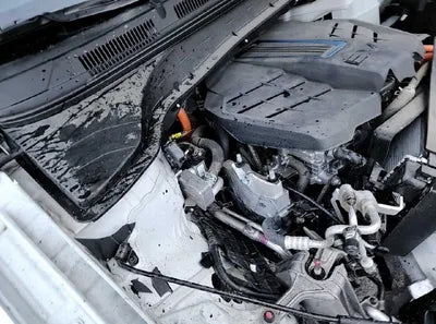 2020 Hyundai Kona KMHK281GFLU086347 VIN:KMHK281GFLU086347