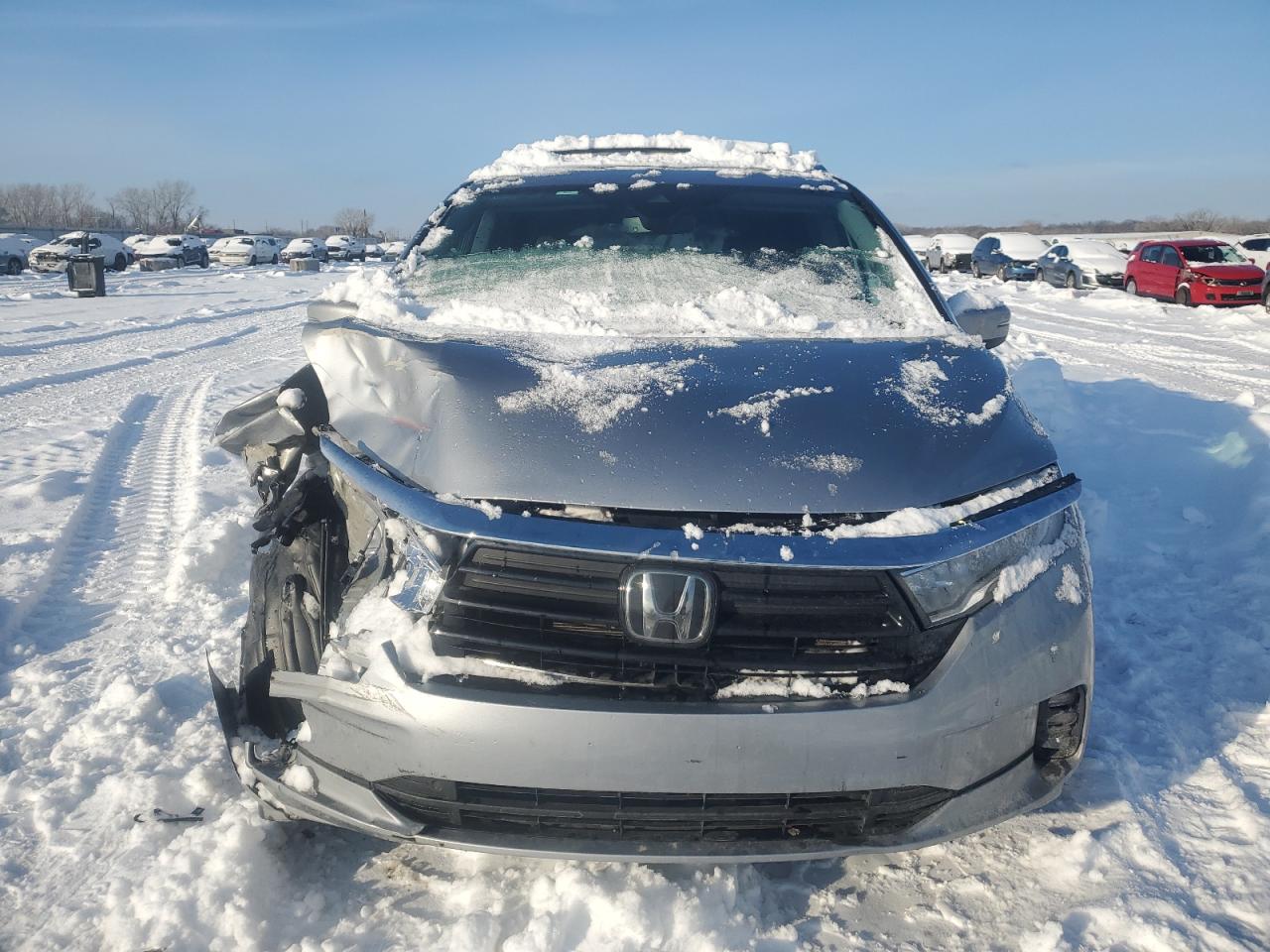 2024 HONDA ODYSSEY EXL VIN:5FNRL6H62RB043232