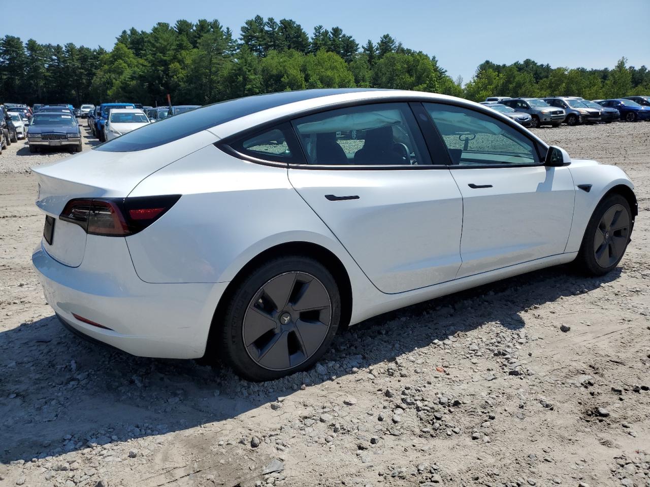 2023 TESLA MODEL 3  VIN:5YJ3E1EA1PF605646