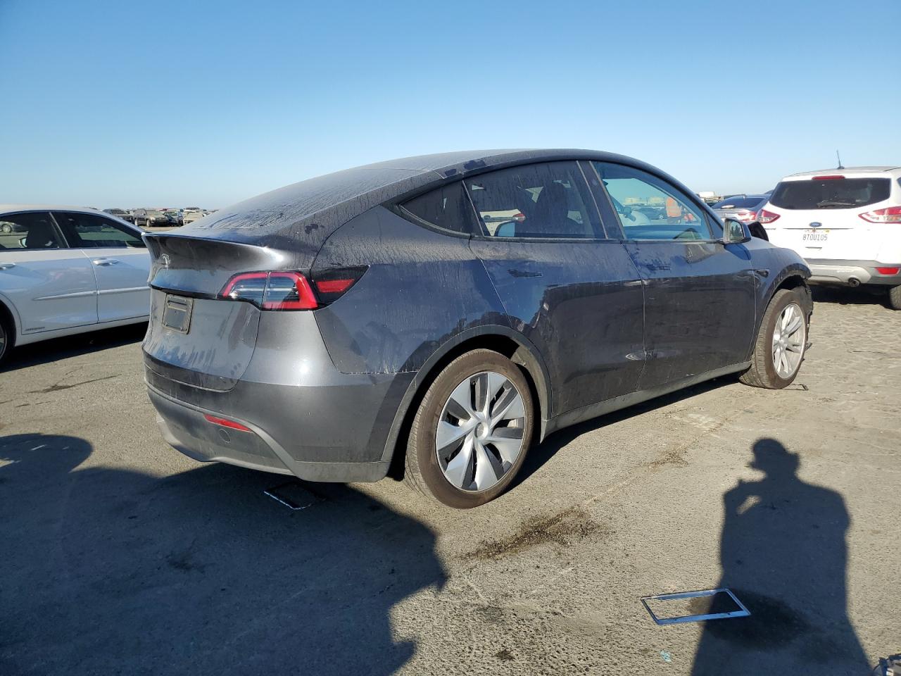 2023 TESLA MODEL Y  VIN:7SAYGDEDXPF933727