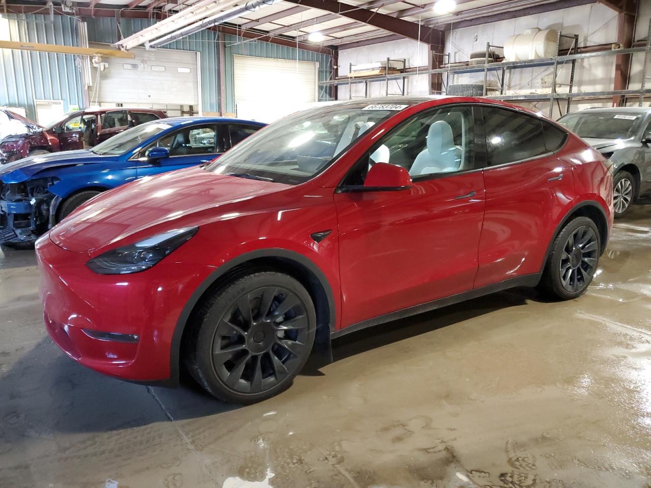 2023 TESLA MODEL Y  VIN:7SAYGDEE1PF877850