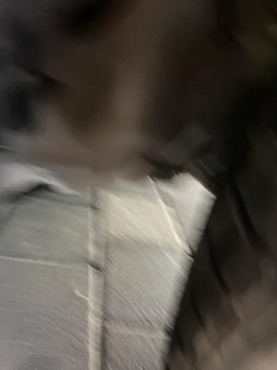 2017 Mercedes-Benz CLS 400 WDDLJ6FB4HA193271 VIN:WDDLJ6FB4HA193271