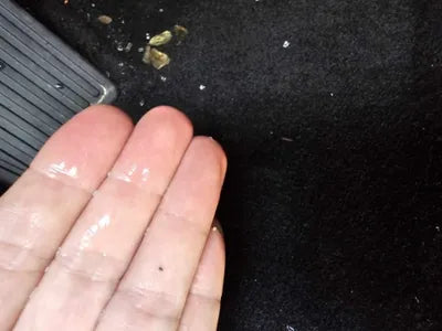 2020 Genesis G80 VIN: