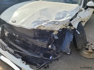2021 Kia K5 KNAG241BBMA139244 VIN:KNAG241BBMA139244