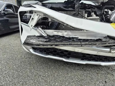 2020 Hyundai Santa FE KMHS581HGMU325237 VIN:KMHS581HGMU325237