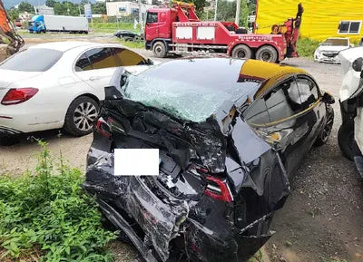 2021 Tesla Model 3 5YJ3E1EB3MF951606 VIN:5YJ3E1EB3MF951606