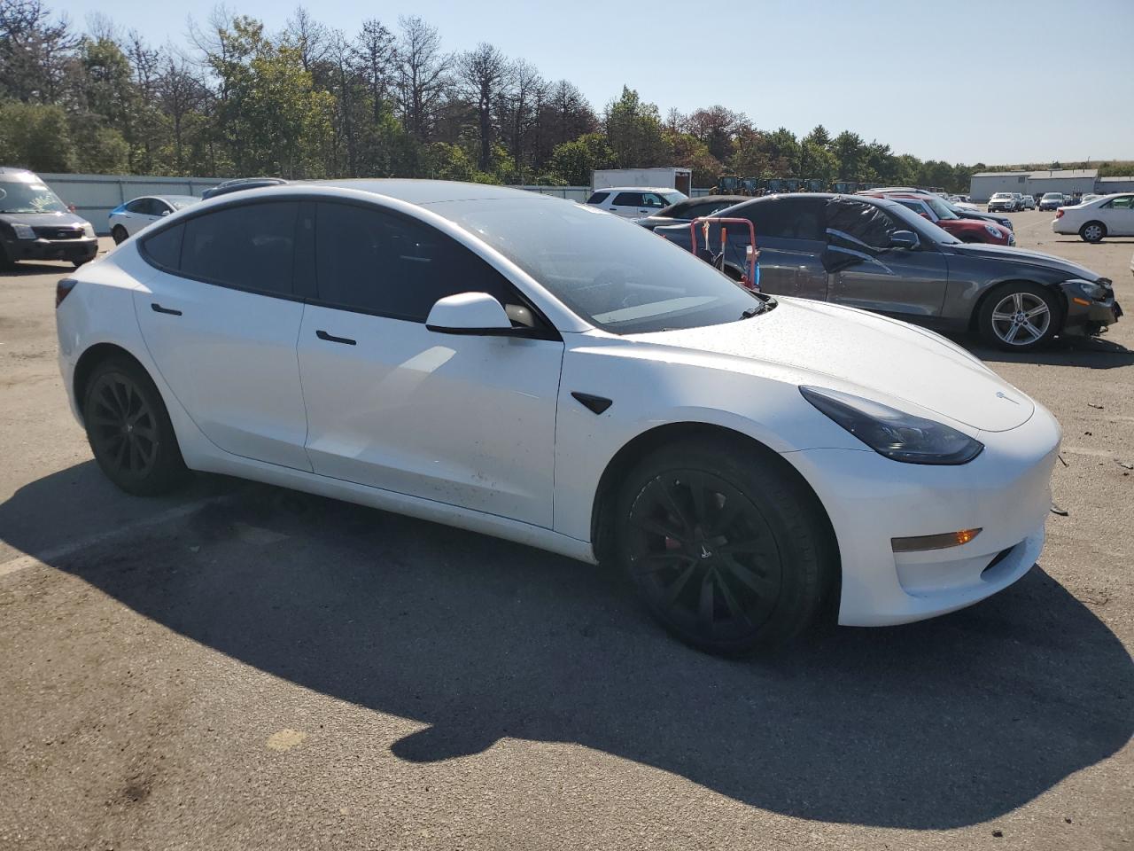 2023 TESLA MODEL 3  VIN:5YJ3E1EA1PF493477