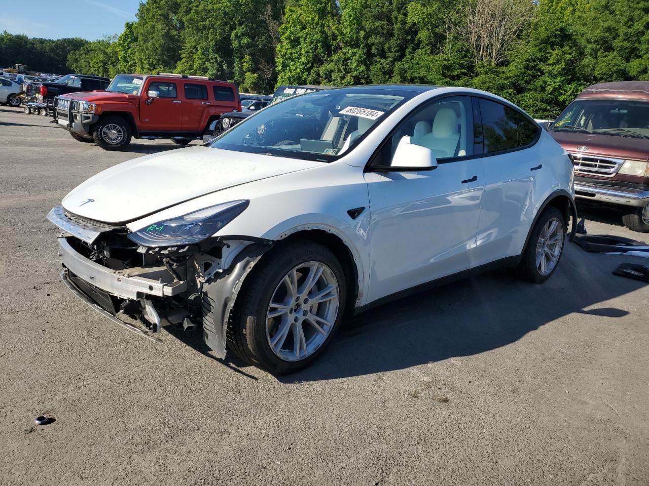 2023 TESLA MODEL Y  VIN:7SAYGDEE9PF801504